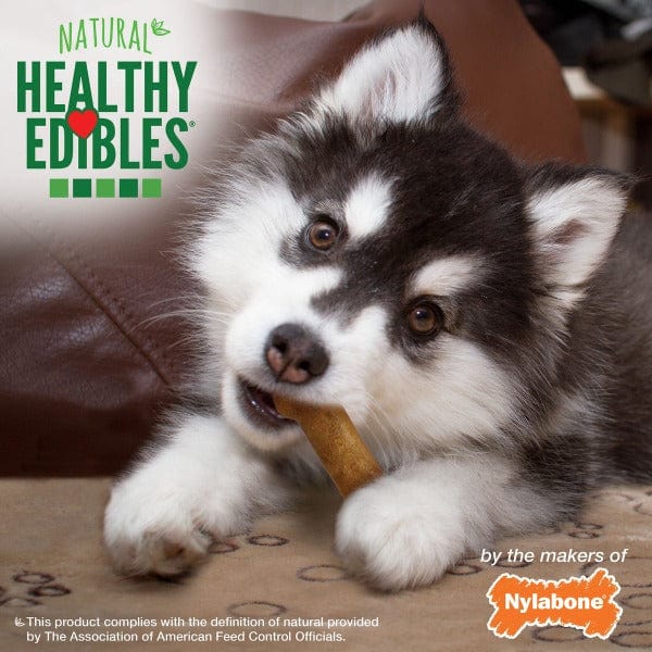 Nylabone Healthy Edibles Lamb & Apple Flavour Regular Puppy Chews - Image 5
