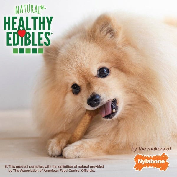 Nylabone Healthy Edibles Roast Beef Flavour Petite Dog Chews - Image 5