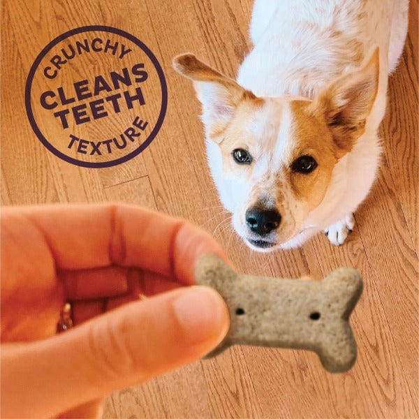 Wellness Old Mother Hubbard Bac'N'Cheese Oven-Baked Dog Biscuits; Small - Image 4