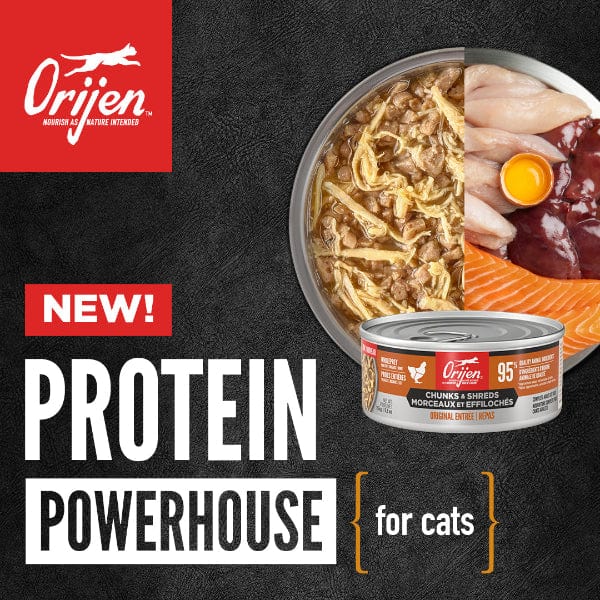 Orijen Duck & Chicken Chunks & Shreds Entrée Canned Cat Food, 5.5oz - Image 3