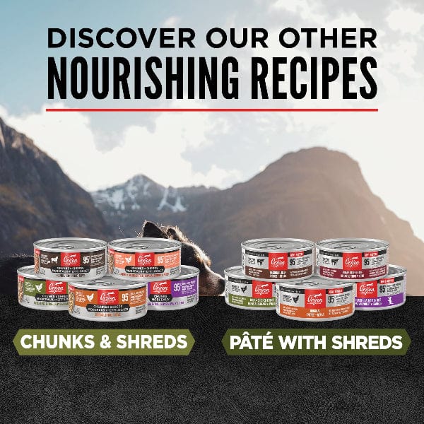 Orijen Duck & Chicken Chunks & Shreds Entrée Canned Cat Food, 5.5oz - Image 4