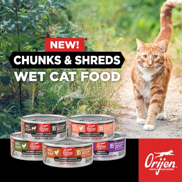 Orijen Duck & Chicken Chunks & Shreds Entrée Canned Cat Food, 5.5oz - Image 5