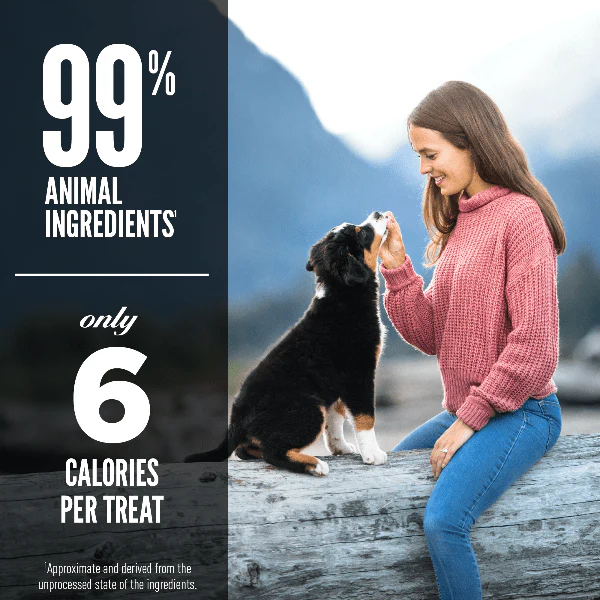 Orijen Lamb Recipe Freeze-Dried Dog Treats - Image 3