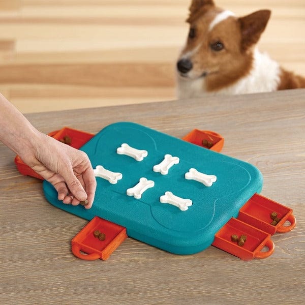 Outward Hound Dog Casino - Image 2
