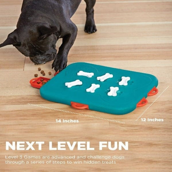 Outward Hound Dog Casino - Image 5
