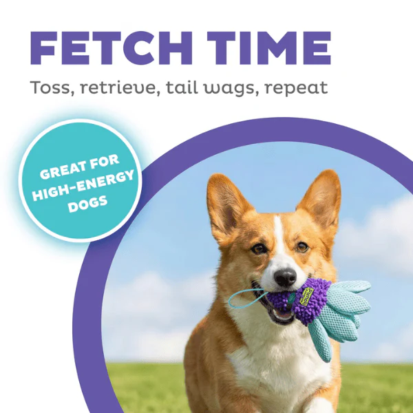 Outward Hound FlyFetch Birdie Replacements For Teaser Wand Dog Toy - Image 3