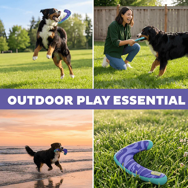 Outward Hound FlyFetch Boomerang Dog Toy - Image 4