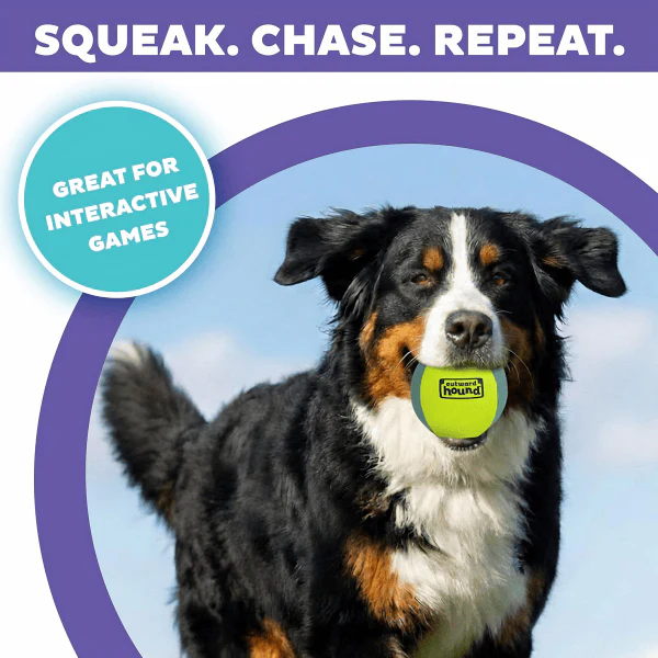 Outward Hound FlyFetch Squeak Ball Dog Toy - Image 3