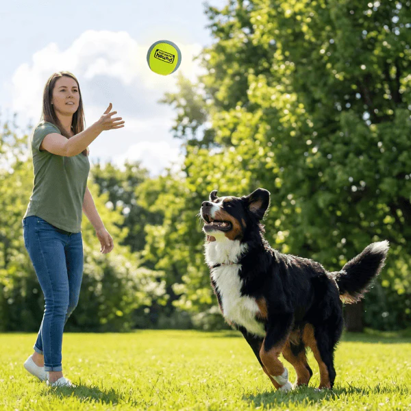 Outward Hound FlyFetch Squeak Ball Dog Toy - Image 5