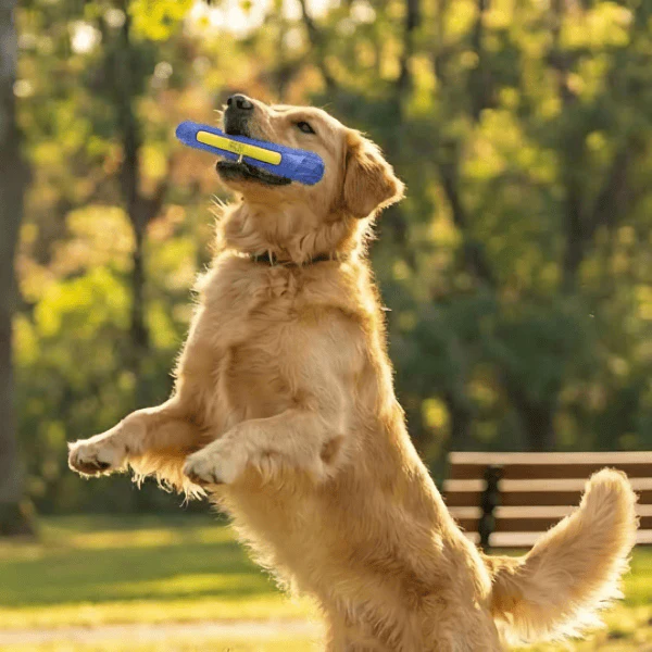 Outward Hound FlyFetch Stick Dog Toy - Image 5
