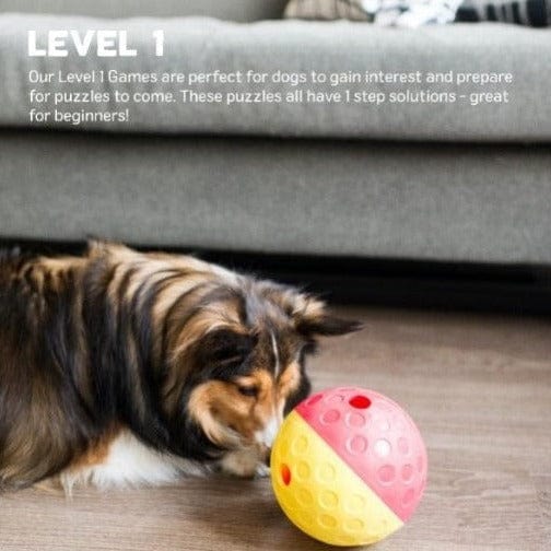 Outward Hound Treat Tumble for Dogs - Image 6