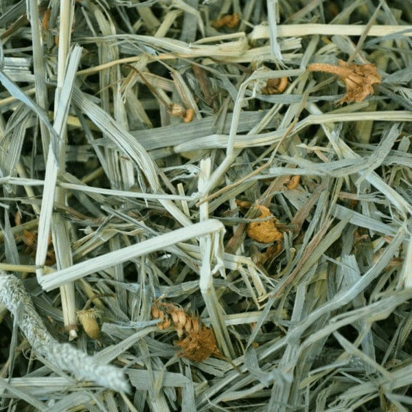 Oxbow Botanical Hay, 15oz - Image 2