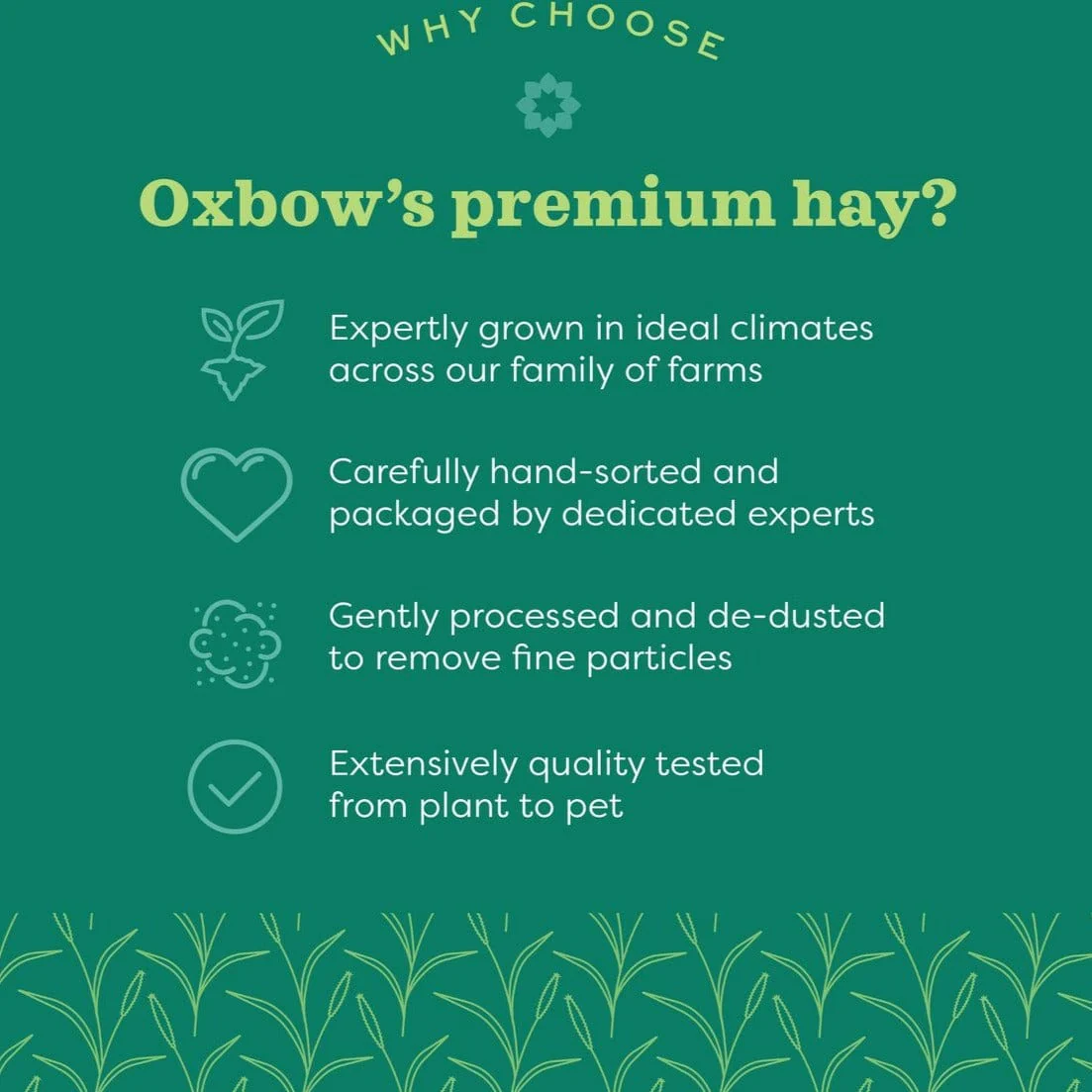 Oxbow Botanical Hay, 15oz - Image 3