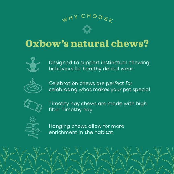 Oxbow Enriched Life - Apple Stick Bouquet - Image 3