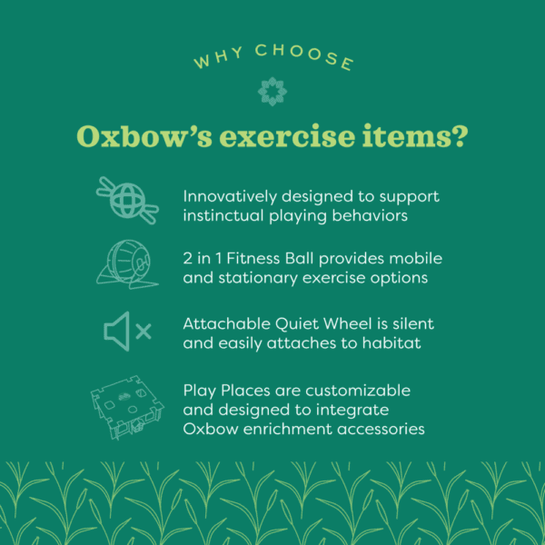 Oxbow Enriched Life - Climbing Rope - Image 3