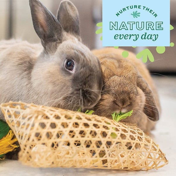 Oxbow Enriched Life - Lettuce Forage Mat - Image 2