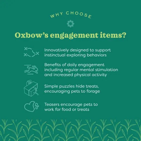 Oxbow Enriched Life - Lettuce Forage Mat - Image 3