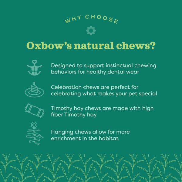 Oxbow Enriched Life - Ox Blocks - Image 3