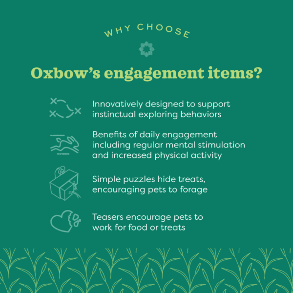 Oxbow Enriched Life - Play Post - Image 3