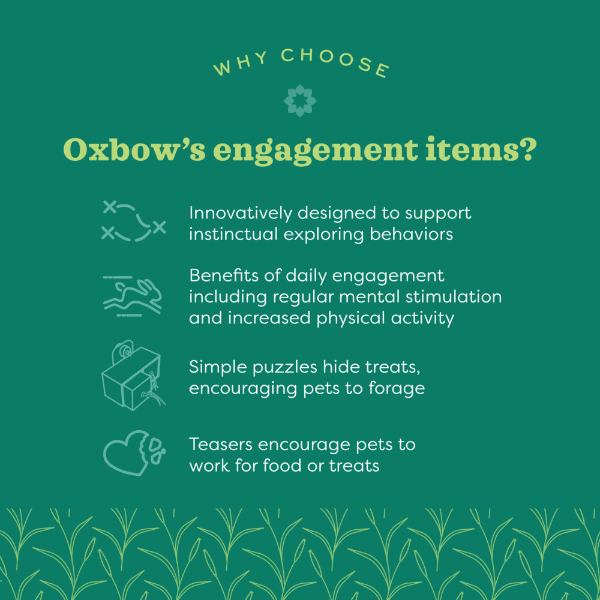 Oxbow Enriched Life - Play Wall - Image 3