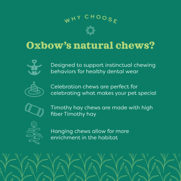 Oxbow Enriched Life - Rainbow Knot Stick - Image 3