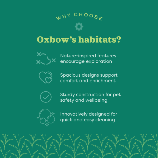 Oxbow Enriched Life - Rat Accessory Pack - Image 3
