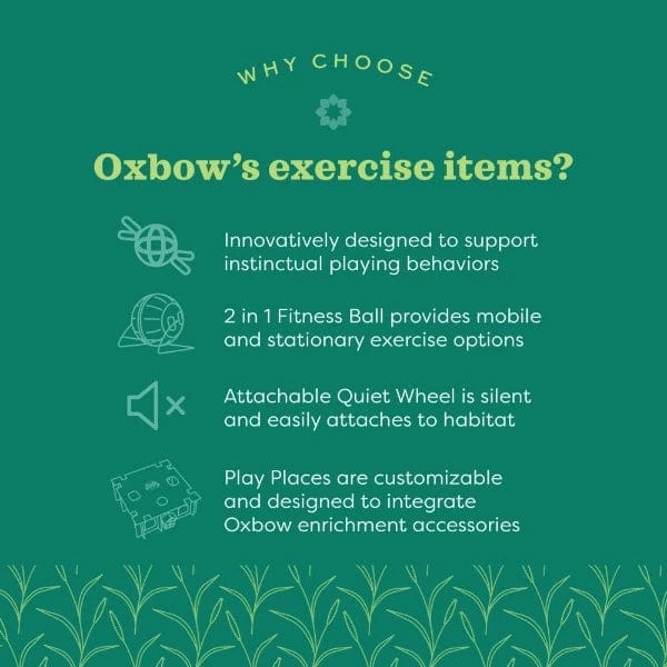 Oxbow Enriched Life - Run & Hide - Image 3
