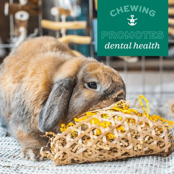 Oxbow Enriched Life - Timothy Waffle - Image 4