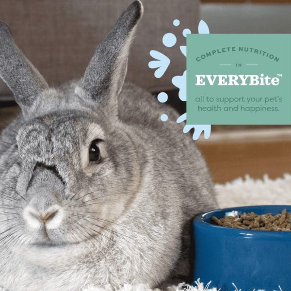 Oxbow Essentials Adult Rabbit Food - Image 2