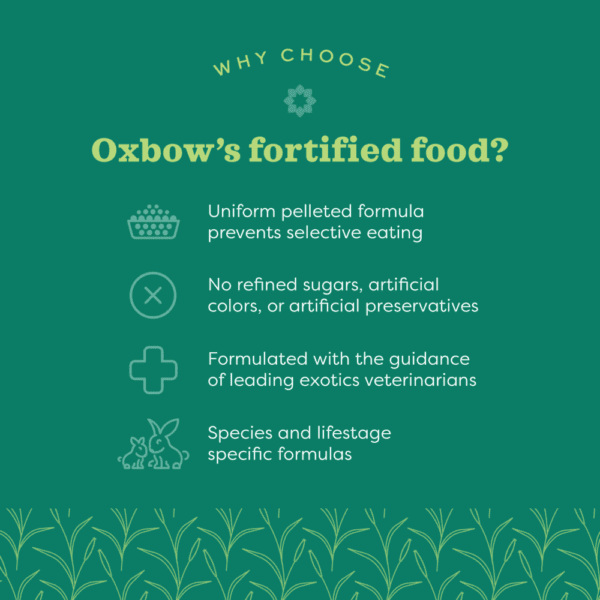Oxbow Essentials Adult Rat Food - Image 3