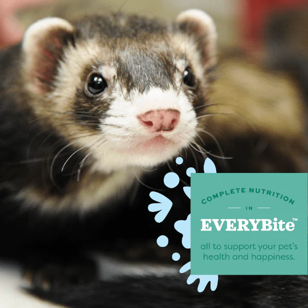 Oxbow Essentials Ferret Food, 4lb - Image 2