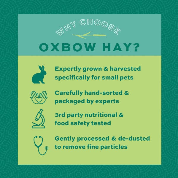 Oxbow Harvest Stacks Western Timothy with Chamomile - Image 4