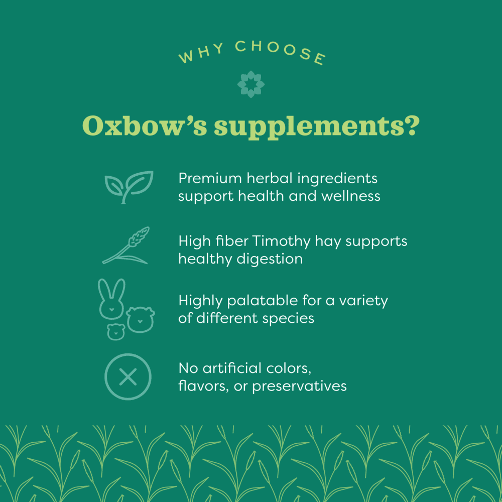 Oxbow Natural Science Digestive Support - Image 3