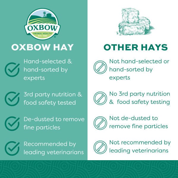 Oxbow Oat Hay - Image 6