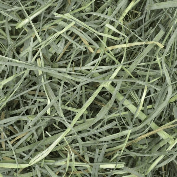 Oxbow Orchard Grass Hay - Image 2