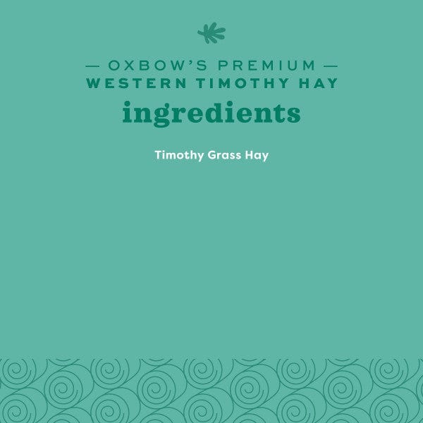 Oxbow Western Timothy Hay - Image 11