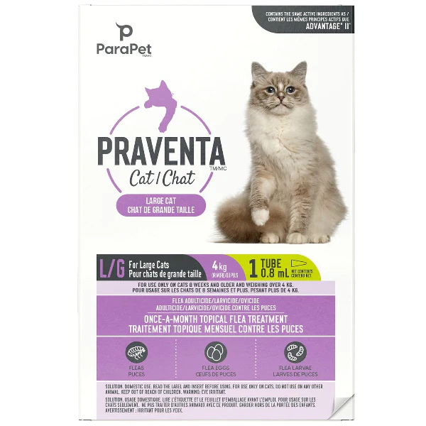 Parapet Praventa for Cats - Image 2