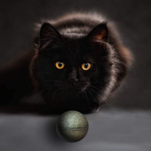 Pawbreakers! Bonkas Catnip Ball - Image 2