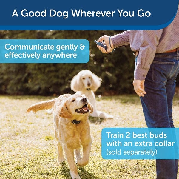 PetSafe Remote Spray Trainer; 300 Metre - Image 3