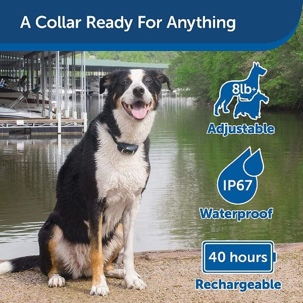 PetSafe 900 Yard Remote Trainer - Image 3