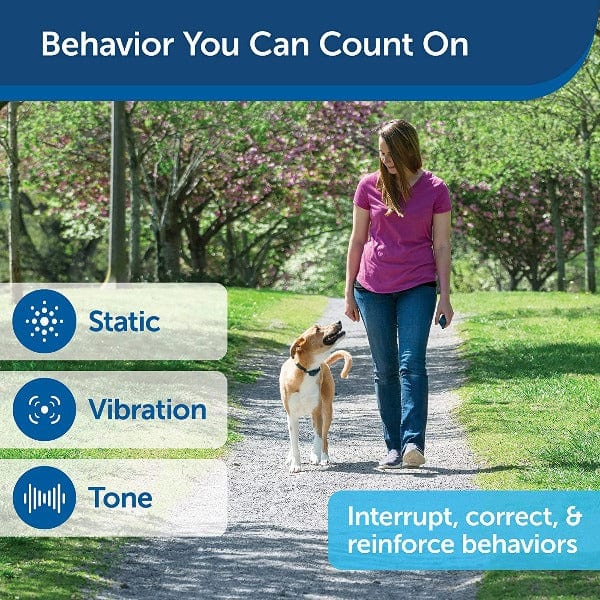 PetSafe 900 Yard Remote Trainer - Image 4