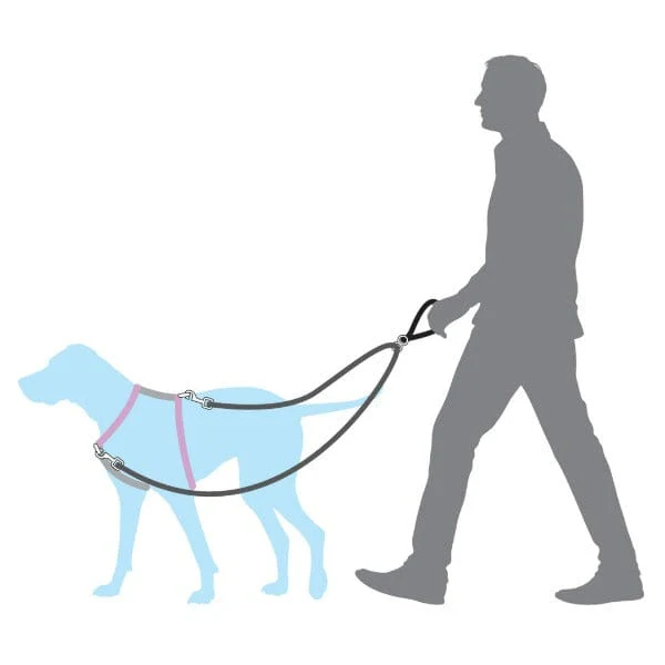 PetSafe Anti-Pull Dog Lead - Image 3