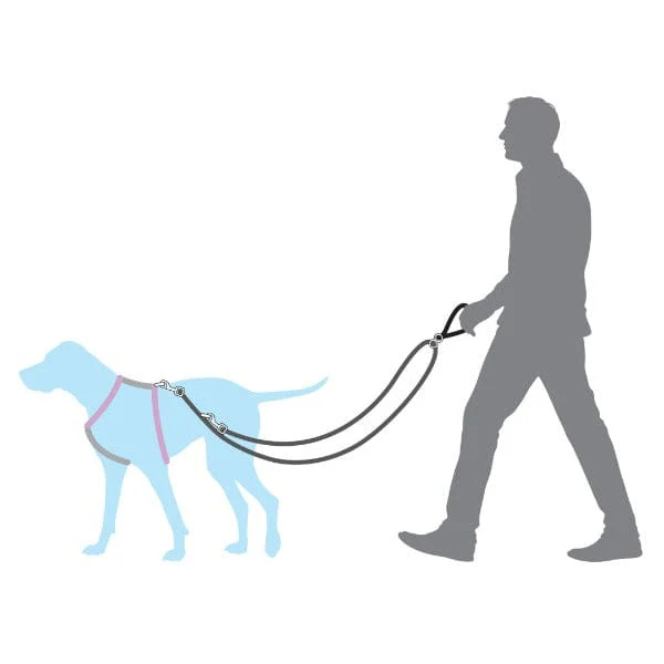 PetSafe Anti-Pull Dog Lead - Image 4