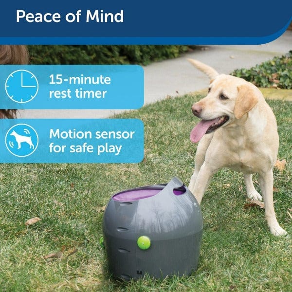 PetSafe Automatic Ball Launcher - Image 7