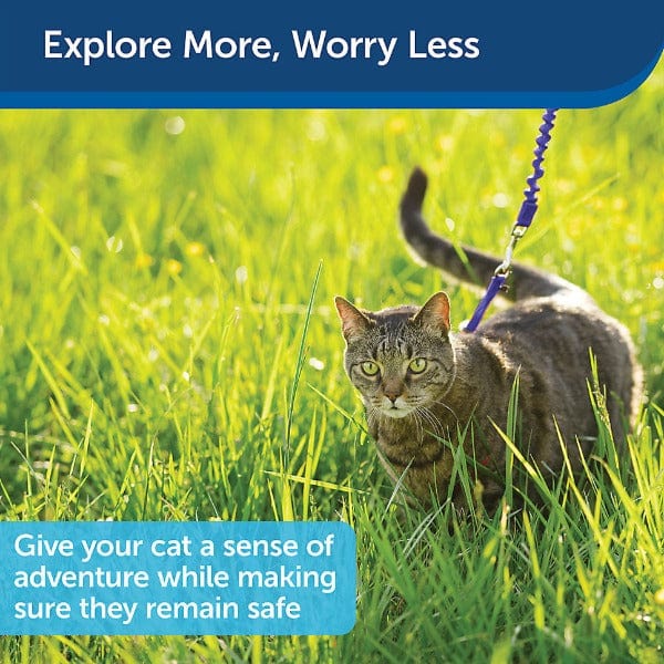 PetSafe Come With Me Kitty Harness & Bungee Leash for Cats - Image 9