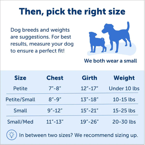PetSafe Easy Walk Harness with Lead - Image 5