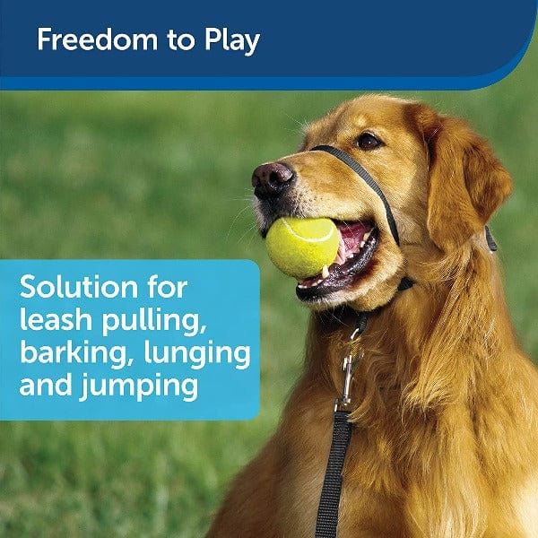 PetSafe Easy Walk Headcollar for Dogs - Image 2