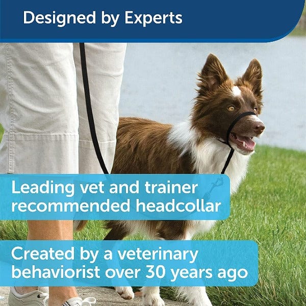 PetSafe Easy Walk Headcollar for Dogs - Image 3