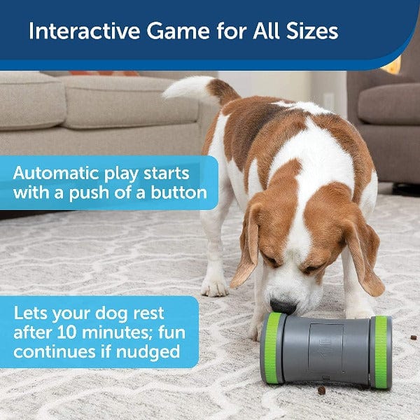 PetSafe Kibble Chase Roaming Treat Dispenser Dog Toy - Image 5