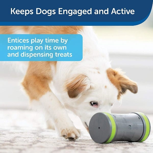 PetSafe Kibble Chase Roaming Treat Dispenser Dog Toy - Image 6